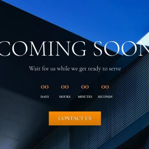 The Promo Plan + Service Fee